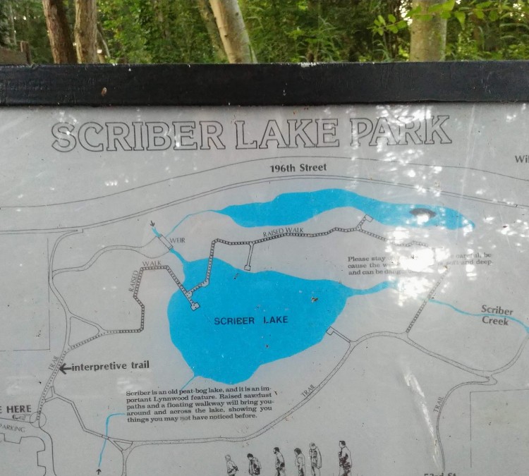 Scriber Lake Park (Lynnwood,&nbspWA)